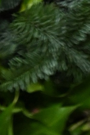 LONDON, ENGLAND - NOVEMBER 29: Anthony Ramos attends The Fashion Awards 2021 at the Royal Albert Hall on November 29, 2021 in London, England. (Photo by Karwai Tang/WireImage)