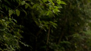 Photo by Gustavo Paixão