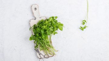 Cilantro on cutting board