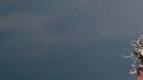 Photo by Pablo García.