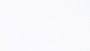 Flor de Maria Shoe Collection