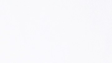 Flor de Maria Shoe Collection