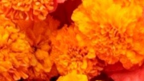 PACIFIC PALISADES, CALIFORNIA - OCTOBER 02: Gabrielle Union attends the Veuve Clicquot Polo Classic at Will Rogers State Historic Park on October 02, 2021 in Pacific Palisades, California. (Photo by Frazer Harrison/Getty Images)