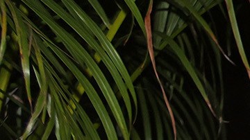 MIAMI, FL - JULY 21:  Christopher Velez, Richard Camacho, Erick Brian Colon and Zabdiel De Jesus of the musical group CNCO are seen on July 21, 2021 in Miami, Florida.  (Photo by Alexander Tamargo/GC Images)