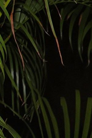 MIAMI, FL - JULY 21:  Christopher Velez, Richard Camacho, Erick Brian Colon and Zabdiel De Jesus of the musical group CNCO are seen on July 21, 2021 in Miami, Florida.  (Photo by Alexander Tamargo/GC Images)
