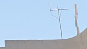 LOS ANGELES, CALIFORNIA - FEBRUARY 06: Ally Brooke attends NASCAR's Busch Light Clash at Los Angeles Coliseum on February 06, 2022 in Los Angeles, California. (Photo by Kevin Winter/Getty Images)