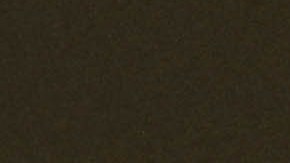 Photo by Alexis Ceballos Matinez.