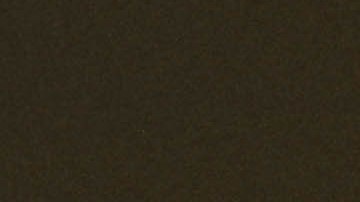 Photo by Alexis Ceballos Matinez.