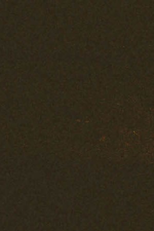 Photo by Alexis Ceballos Matinez.