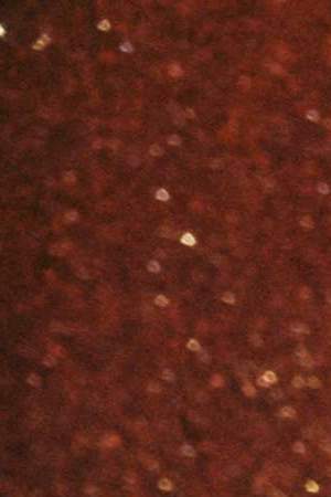 Karol G Crocs collab footwear