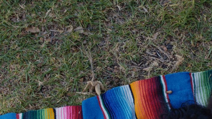 Mija Film Review