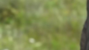 Oscar Isaac in Super bowl commercial