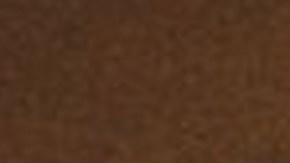 Photo by Photo by Melissa Lunar.