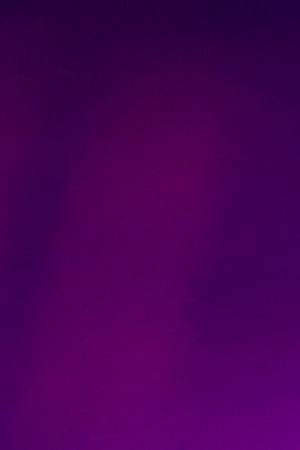 Rauw ALejandro_rumors