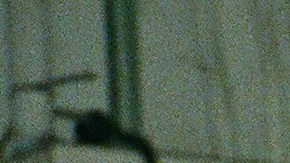 Courtesy of the artist.