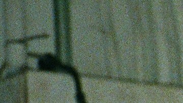 Courtesy of the artist.