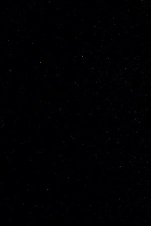 LOS ANGELES, CALIFORNIA - FEBRUARY 24: Bad Bunny performs at Crypto.com Arena on February 24, 2022 in Los Angeles, California. (Photo by Timothy Norris/Getty Images)_Safaera