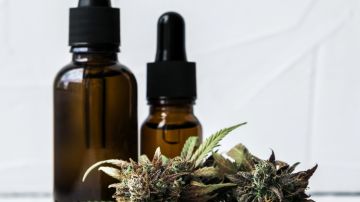Cannabis CBD oil extracts in jars herb and small beautiful cones. Concept medical marijuana on white background
