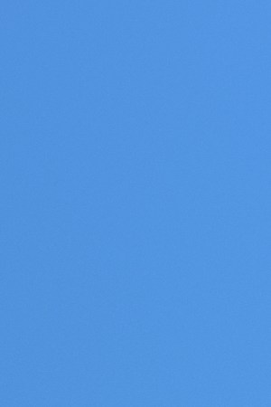 3D Model by Mov Studio for Remezcla