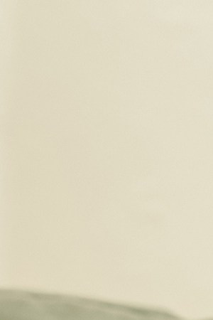 Photo by Brittany Bravo