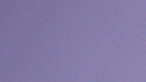 PARK CITY, UTAH - JANUARY 28: Wagner Moura attends the Netflix  Sergio Premiere at Eccles Center Theatre on January 28, 2020 in Park City, Utah. (Photo by Phillip Faraone/Getty Images for Netflix)