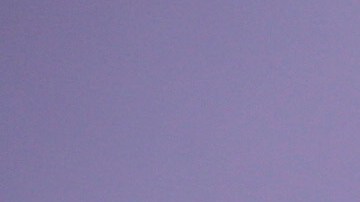 PARK CITY, UTAH - JANUARY 28: Wagner Moura attends the Netflix  Sergio Premiere at Eccles Center Theatre on January 28, 2020 in Park City, Utah. (Photo by Phillip Faraone/Getty Images for Netflix)