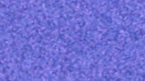 Karol G_Feid_Japanese_hair