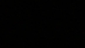 RBD_Perroni_Back_“S.H.E.A.”