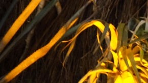 MEXICO CITY, MEXICO - MARCH 09: Marco Antonio Solis 'El Buki' poses for photos during a launch event of the tequila "Tesoro Azul" by Marco Antonio Solis on March 9, 2022 in Mexico City, Mexico. (Photo by Medios y Media/Getty Images)