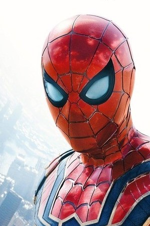 Spider-Man: No Way Home