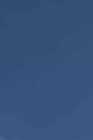 Ukrainian flag with the The coat of arms of the city Lviv,Ukraine for post about Latin American countries speaking in support of Ukraine.