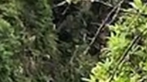 Murph's Life Foundation