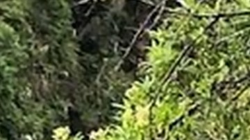 Murph's Life Foundation