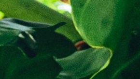 Si Me La Haces_Yatra