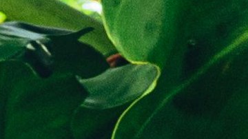 Si Me La Haces_Yatra