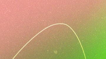 header-sonic-bloom