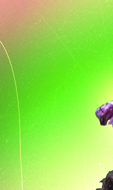 header-sonic-bloom
