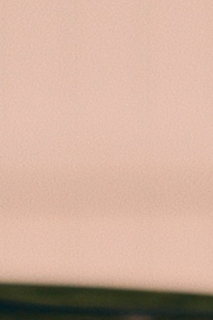 Photo Credit: Vitamin A Films, CDW Films.