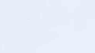 Carla Morrison_El Tiny