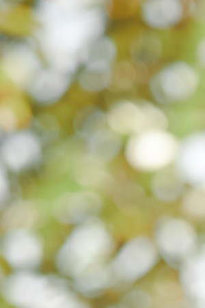 Photo by Brittany Bravo