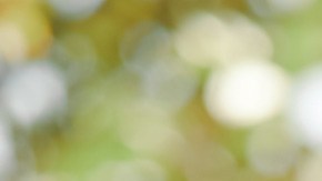 Photo by Brittany Bravo