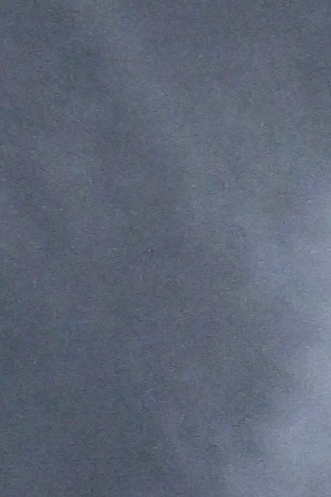 HOLLYWOOD, CALIFORNIA - APRIL 18: Anya Taylor-Joy attends the Los Angeles Premiere of "The Northman" at TCL Chinese Theatre on April 18, 2022 in Hollywood, California. (Photo by Axelle/Bauer-Griffin/FilmMagic)