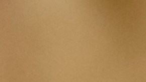 WASHINGTON, DC - JUNE 29: Referee Blanca Burns watches play during the second half of the game between the Washington Mystics and the Connecticut Sun at Entertainment & Sports Arena on June 29, 2021 in Washington, DC. NOTE TO USER: User expressly acknowledges and agrees that, by downloading and or using this photograph, User is consenting to the terms and conditions of the Getty Images License Agreement. (Photo by Scott Taetsch/Getty Images)