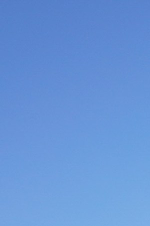 INDIO, CALIFORNIA - APRIL 21: Festival goers attend the 2019 Coachella Valley Music And Arts Festival - Weekend 2 on April 21, 2019 in Indio, California. (Photo by Presley Ann/Getty Images for Coachella)