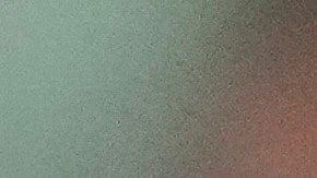 MLB's Vladimir Guerrero Jr. on the field.