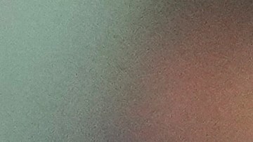 MLB's Vladimir Guerrero Jr. on the field.