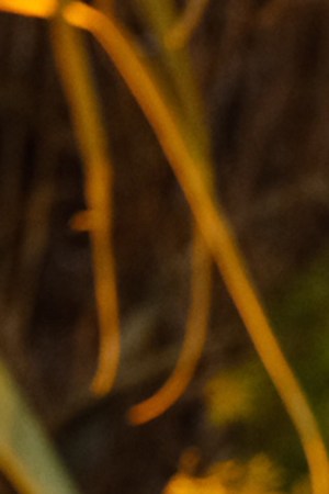 MEXICO CITY, MEXICO - MARCH 09: Marco Antonio Solis 'El Buki' reacts during a launch event of the tequila "Tesoro Azul" by Marco Antonio Solis on March 9, 2022 in Mexico City, Mexico. (Photo by Medios y Media/Getty Images)