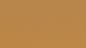 PALM SPRINGS, CA - MARCH 7:  Palm trees silhouetted against an orange sunrise are viewed on March 7, 2022 in Palm Springs, California. Palm Springs is a city of nearly 50,000 that has become an important tourist destination for the LGBTQ community as well as a relaxed environment for older retirees. This desert resort city is located 2 hours east of Los Angeles in Riverside County within the Colorado Desert's Coachella Valley. (Photo by George Rose/Getty Images)