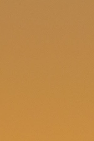 PALM SPRINGS, CA - MARCH 7:  Palm trees silhouetted against an orange sunrise are viewed on March 7, 2022 in Palm Springs, California. Palm Springs is a city of nearly 50,000 that has become an important tourist destination for the LGBTQ community as well as a relaxed environment for older retirees. This desert resort city is located 2 hours east of Los Angeles in Riverside County within the Colorado Desert's Coachella Valley. (Photo by George Rose/Getty Images)