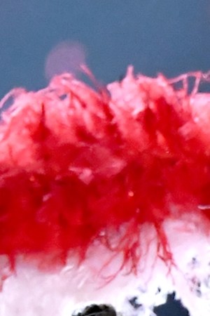 MIAMI, FLORIDA - FEBRUARY 02: Emme Maribel Muñiz and Jennifer Lopez performs onstage during the Pepsi Super Bowl LIV Halftime Show at Hard Rock Stadium on February 02, 2020 in Miami, Florida. (Photo by Jeff Kravitz/FilmMagic)